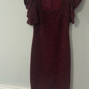 Love J Sparkling Maroon Dress